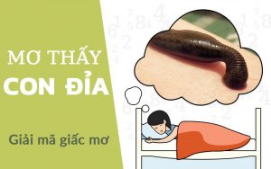 mơ thấy đỉa